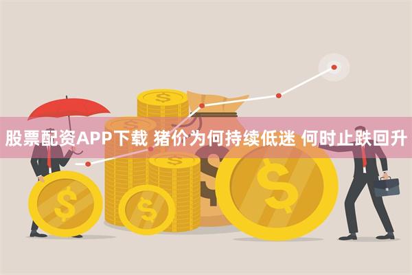 股票配资APP下载 猪价为何持续低迷 何时止跌回升