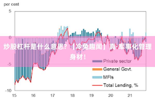 炒股杠杆是什么意思? 【冷兔趣闻】真·军事化管理身材！