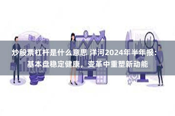 炒股票杠杆是什么意思 洋河2024年半年报： 基本盘稳定健康，变革中重塑新动能