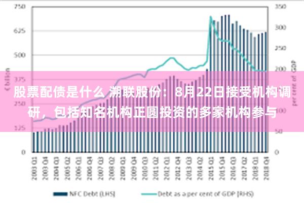 股票配债是什么 溯联股份：8月22日接受机构调研，包括知名机构正圆投资的多家机构参与