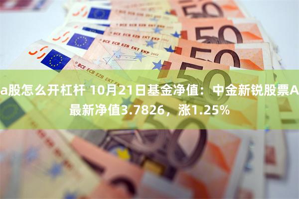 a股怎么开杠杆 10月21日基金净值：中金新锐股票A最新净值3.7826，涨1.25%