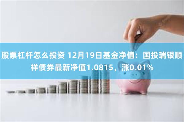 股票杠杆怎么投资 12月19日基金净值：国投瑞银顺祥债券最新净值1.0815，涨0.01%