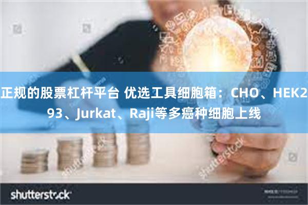 正规的股票杠杆平台 优选工具细胞箱：CHO、HEK293、Jurkat、Raji等多癌种细胞上线