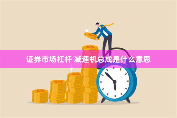 证券市场杠杆 减速机总成是什么意思