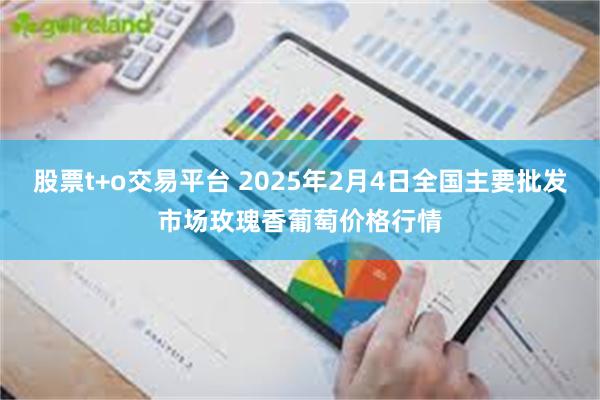 股票t+o交易平台 2025年2月4日全国主要批发市场玫瑰香葡萄价格行情